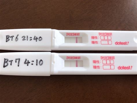 BT8 陽性判定☆妊娠検査薬と血中hcg - アメーバブログ