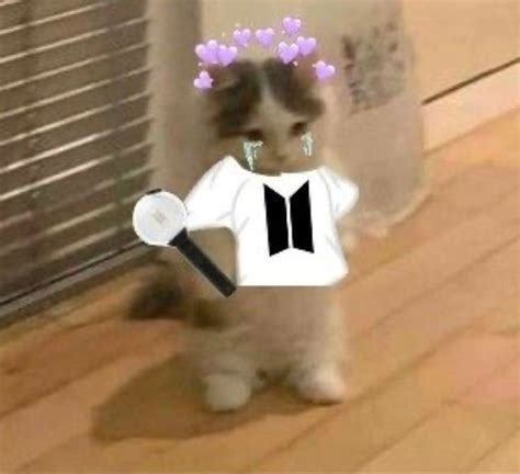 bts cat filter - elchoricharrua.com