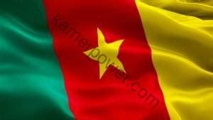 BTS Cameroun 2024: Ouverture de l’examen national du Brevet de ...