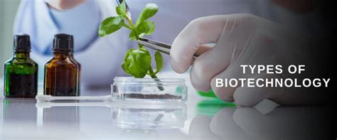 BTech Biotechnology: Eligibility, Colleges, Syllabus, Salary, Jobs …