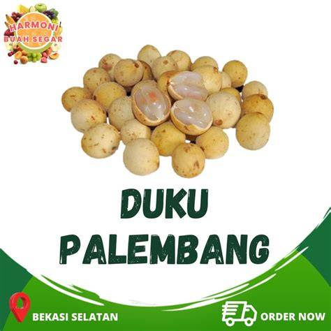 Buah Duku Palembang - Jual Buah Duku Palembang Terbaru … - raincitystudios.com