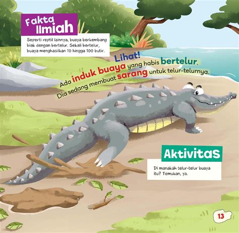 Buaya - Fakta, Pengertian, Jenis, Contoh, Foto - muktibox.com