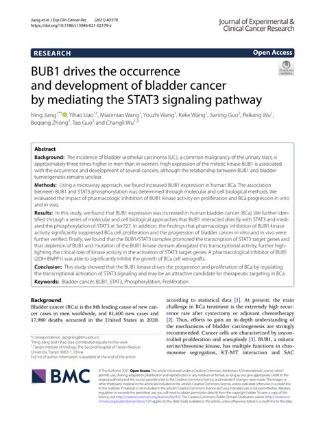 BUB1 drives the occurrence and development of bladder cancer by ...