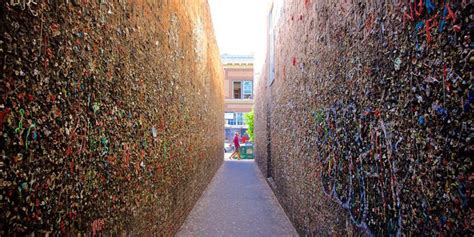 BUBBLEGUM ALLEY - 737 Photos & 251 Reviews - Yelp