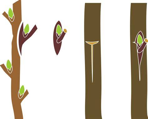 BUD GRAFTING IN 7 STEPS | Improved Cultivars - raincitystudios.com