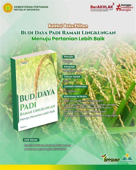 Budi daya & - raincitystudios.com