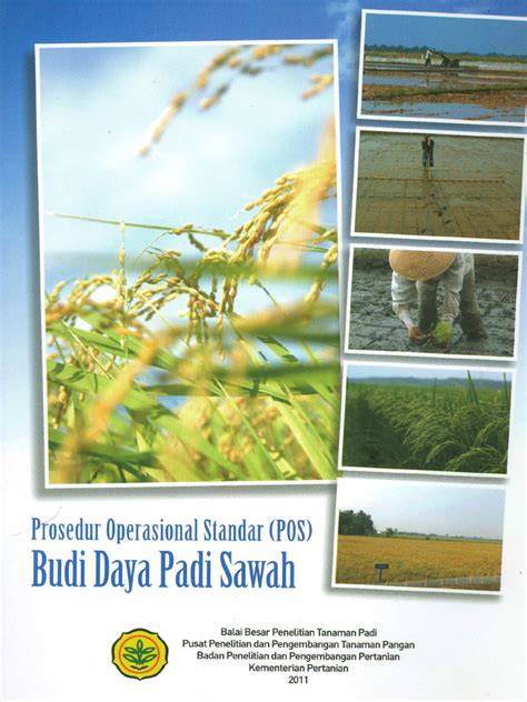 Budi daya padi - Wikipedia bahasa Indonesia, … - raincitystudios.com