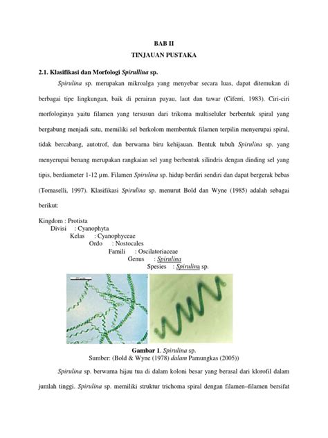 Budidaya dan Morfologi Spirulina sp. | PDF | Griya & Taman - Scribd - muktibox.com