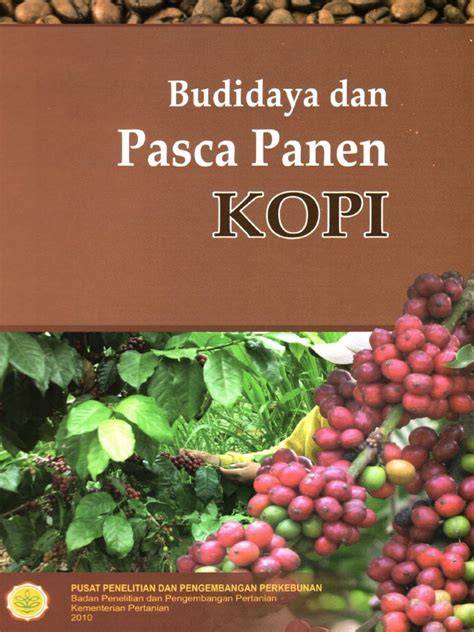 Budidaya dan Pasca Panen KOPI - Pertanian - raincitystudios.com