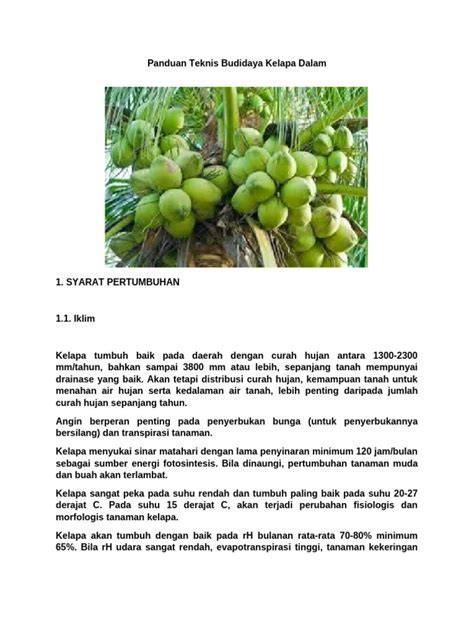 budidaya KELAPA - Pertanian - raincitystudios.com