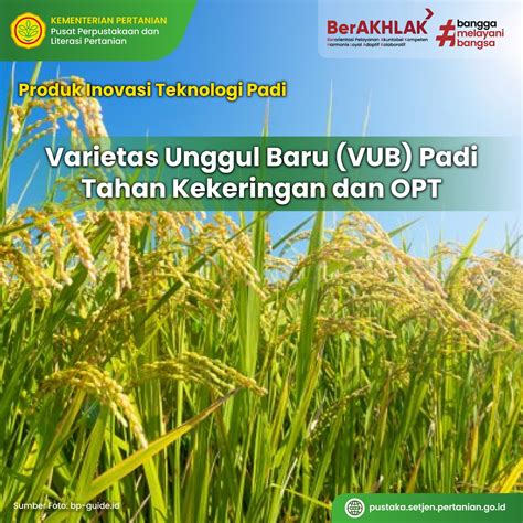 BUDIDAYA PADI VARIETAS UNGGUL - raincitystudios.com
