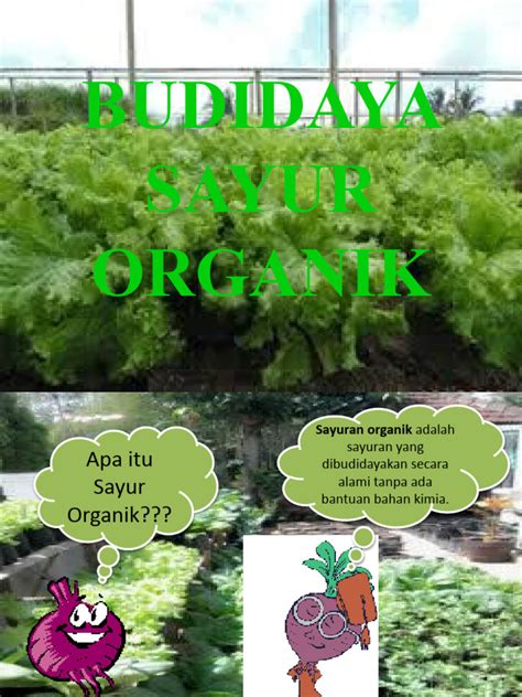 budidaya sayuran organik - Academia.edu - raincitystudios.com