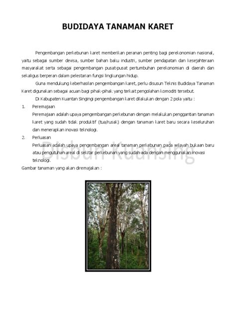 BUDIDAYA TANAMAN KARET - PDF Free Download - ADOC.PUB - raincitystudios.com
