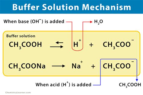 Buffer solution: Types,Mechanism,Uses and Preparation - wintechmobiles.com