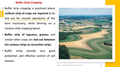 Buffer Strip - an overview | ScienceDirect Topics - raincitystudios.com