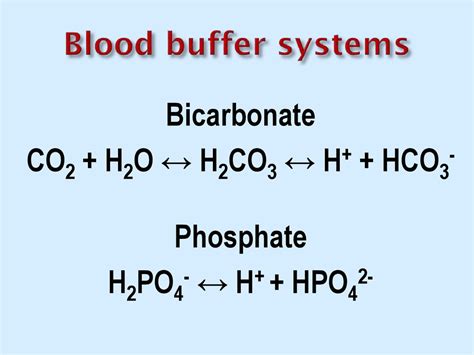 Buffer Systems of Blood | Biochemistry - Biology Discussion - wintechmobiles.com