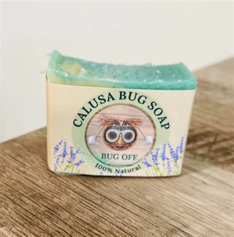bug soap - elchoricharrua.com