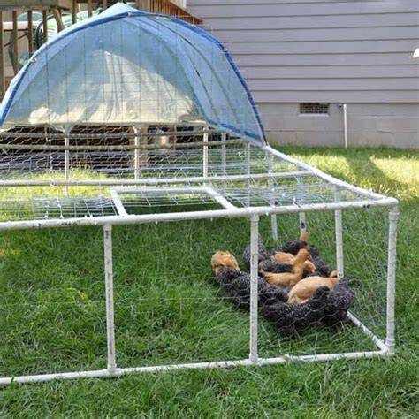 Build a Portable PVC Chicken Tractor (Free PVC Plan) - raincitystudios.com
