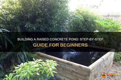 Building a Concrete Pond - Pond Expert - raincitystudios.com