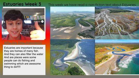 Building a Network of Estuaries - National Oceanic and … - raincitystudios.com