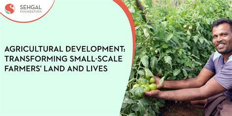 Building the capacity of small-scale farmers to use low-cost gravity ... - raincitystudios.com
