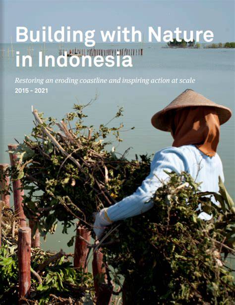 Building with Nature Indonesia - Nature-Based Solutions - raincitystudios.com
