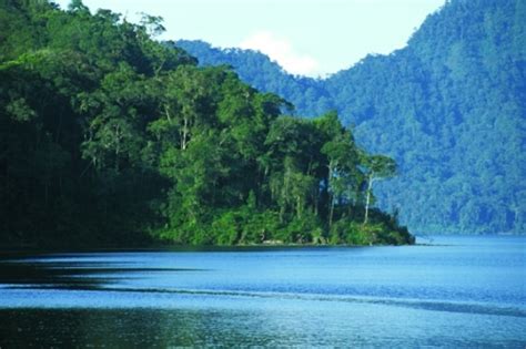 Bukit Barisan Selatan - Sumatra's Endangered Haven - raincitystudios.com