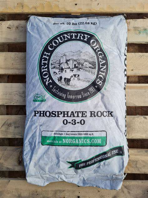 Bulk Phosphate Soil (Rock) Supplier - Raykan co - raincitystudios.com