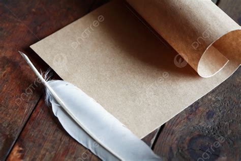 Bulu Ayam Pena - Gambar vektor gratis di Pixabay - muktibox.com