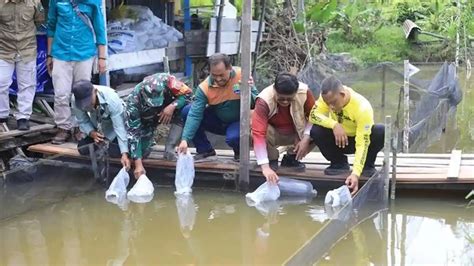 Bulungan people - wintechmobiles.com