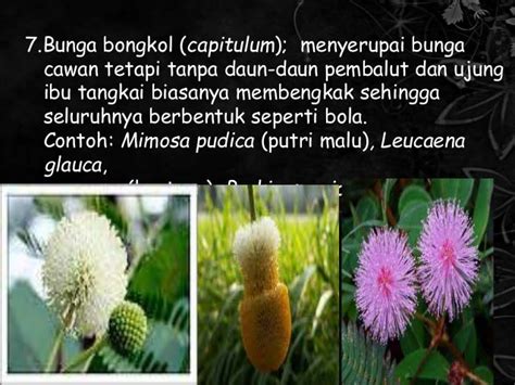 Bunga Majemuk - Matematika G12 - Quipper Blog - wintechmobiles.com