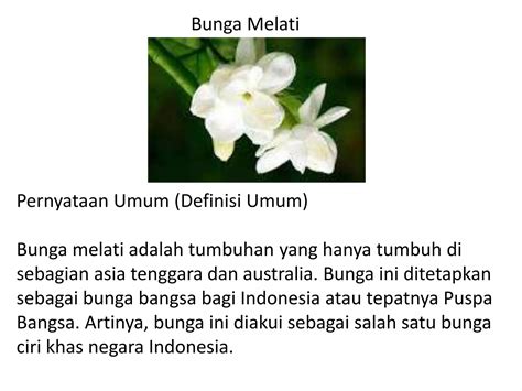 bunga melati artinya - elchoricharrua.com