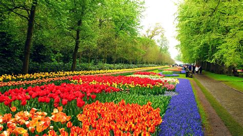 Bunga Taman - Undangan Pesta Pertunangan - muktibox.com