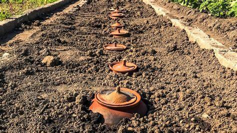 Buried Clay Pot Irrigation: Low Maintenance Solution - raincitystudios.com
