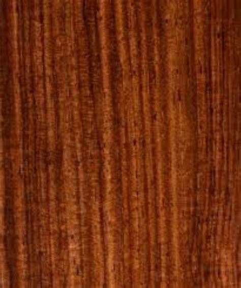 Burmese rosewood - Pterocarpus indicus (Care, … - raincitystudios.com