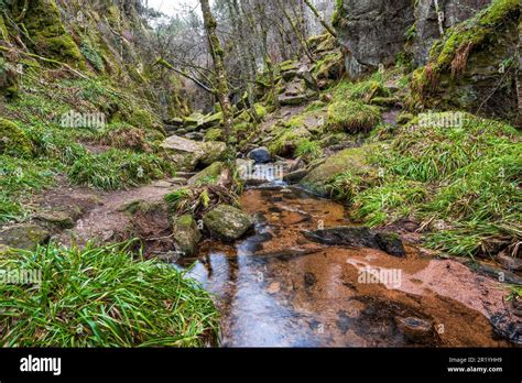 BURN O VAT Dinnet, Aberdeenshire, Picknickpartys versorgt, RP