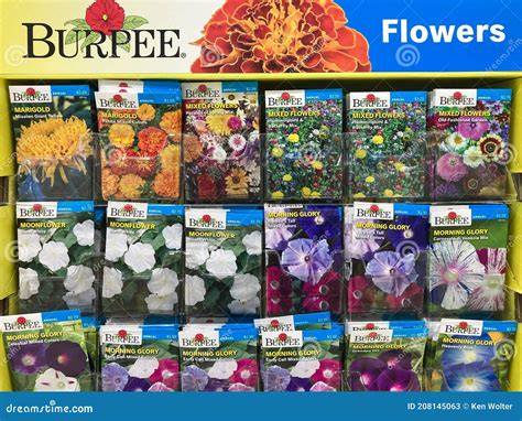 Burpee Seeds and Plants - Home Garden, Vegetable … - raincitystudios.com