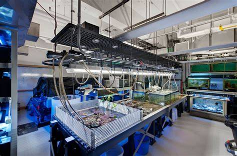 Burt Marine Biology Lab - NYU Abu Dhabi - raincitystudios.com