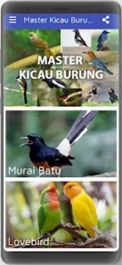 Burung - Wikipedia bahasa Indonesia, ensiklopedia bebas - muktibox.com