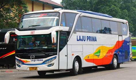 bus laju prima - elchoricharrua.com
