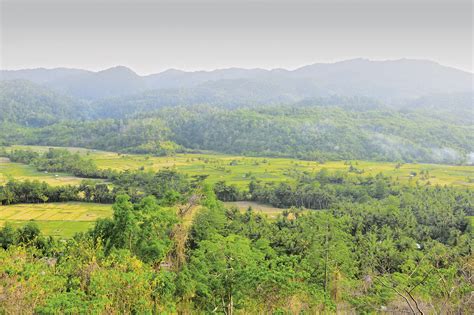 Butterflies and Palaces of Buton - NOW! Jakarta - wintechmobiles.com