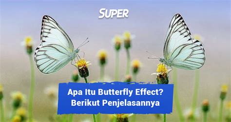 Butterfly Effect dalam Kehidupan - ACEnesia - wintechmobiles.com