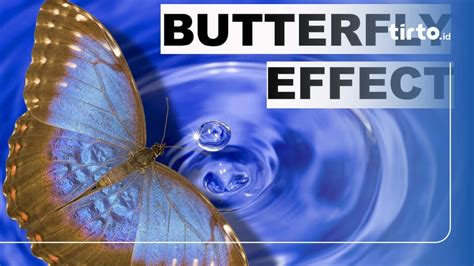 Butterfly Effect dalam Politik: Keputusan Kecil yang Berdampak ... - wintechmobiles.com