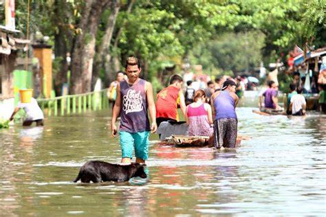 Butuan ramps up reforestation efforts vs flooding, water … - raincitystudios.com