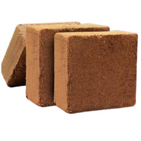 Buy Bulk 5KG COCO BLOCK - Order your 40Ft … - raincitystudios.com