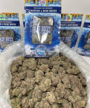 BUY CALI BUD ONLINE - Buy Cali Bud Or No Bud Dispensary Store