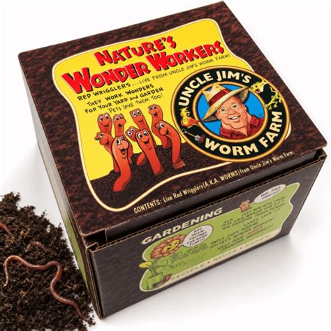 Buy Red Wigglers Worm Composting and Vermicomposting supplies - raincitystudios.com
