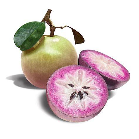 BUY STAR APPLE FRUIT TREE (ALREADY … - raincitystudios.com