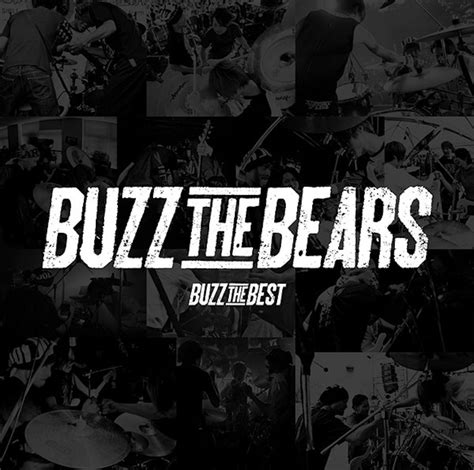 BUZZ THE BEST - BUZZ THE BEARS