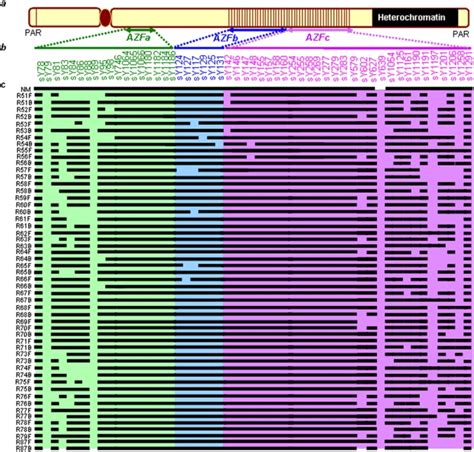 B_Stss Onlyfans Leaked PORN 🍌 207 Vids